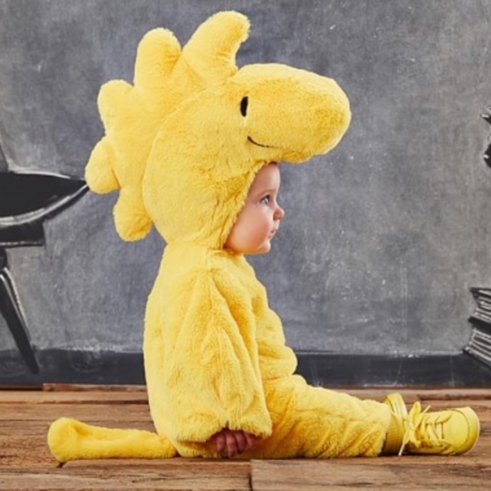 PB Kids Woodstock Baby Costume